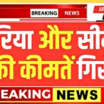 अब सस्ता घर बनाना आसान! सरिया और सीमेंट के रेट गिरे, जानें आज का ताज़ा भाव और बचत कैसे करें | Sariya Cement Rates 2026